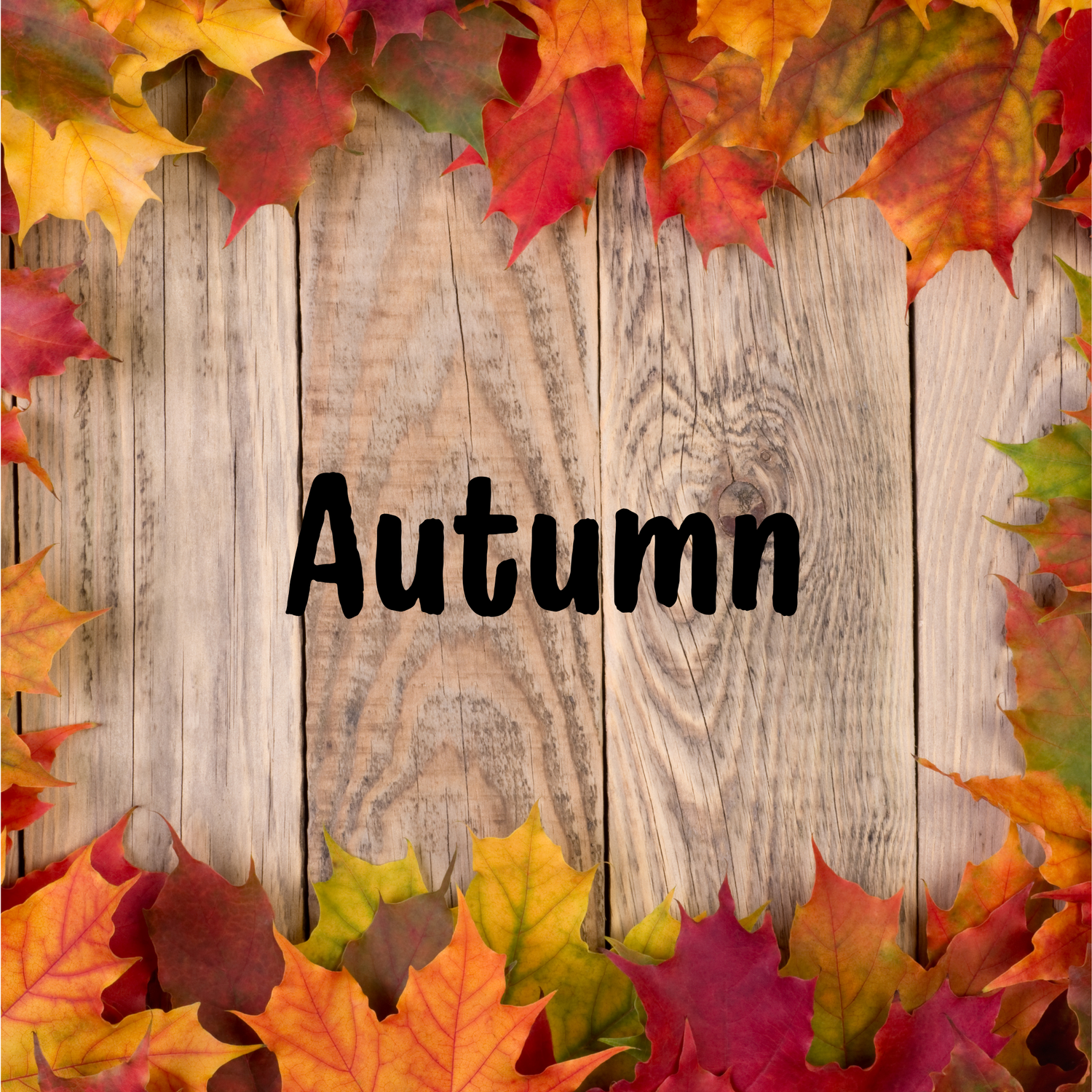 Autumn