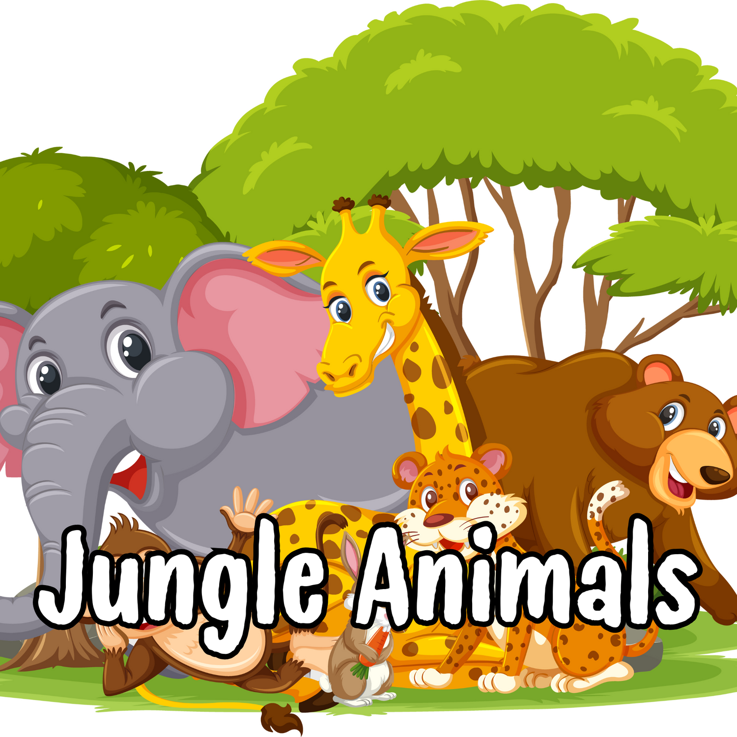 Jungle Animals