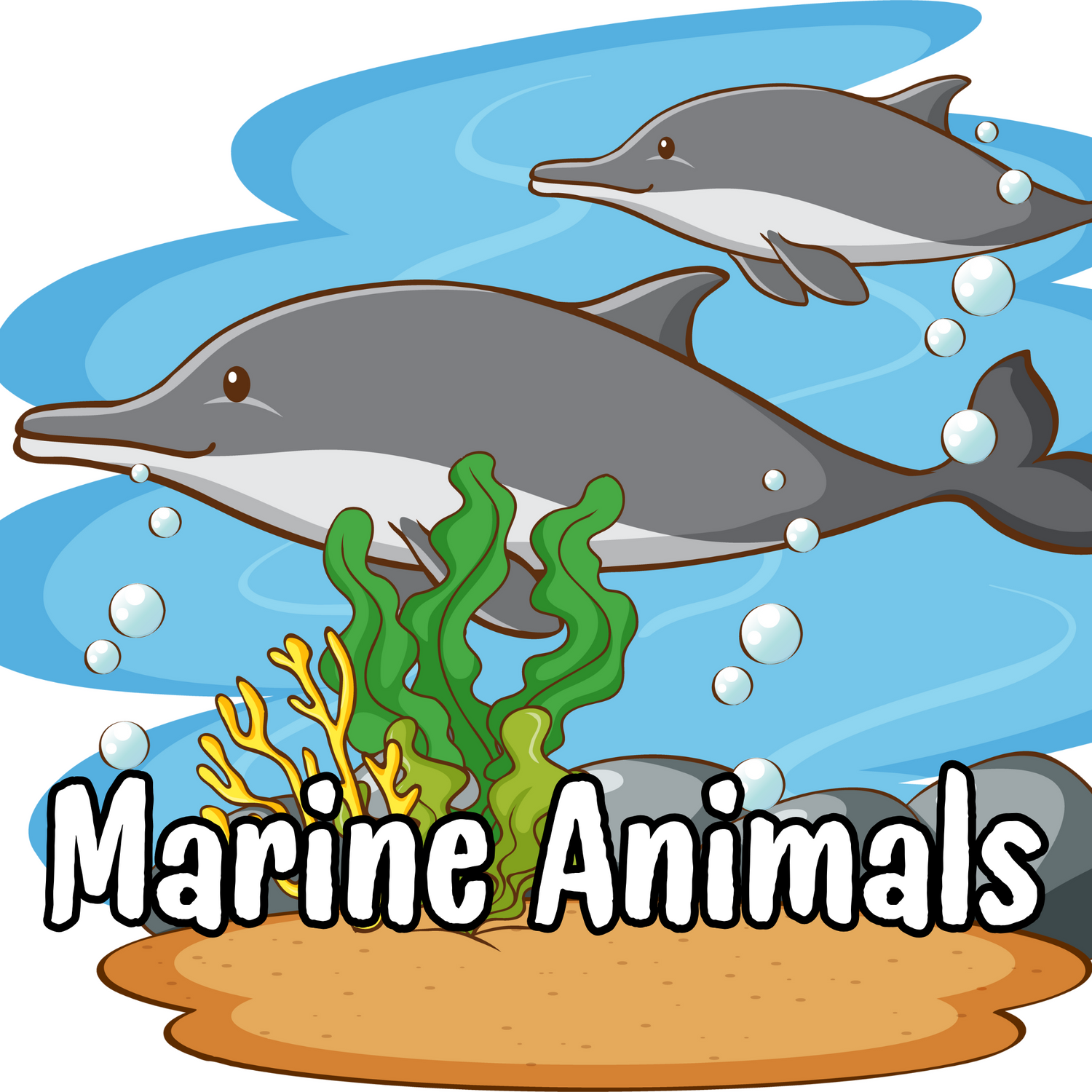 Marine Animals